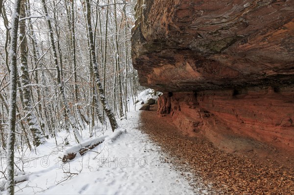 Natural Monument