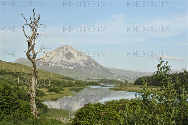 View of Mount Errigal from Gweedore