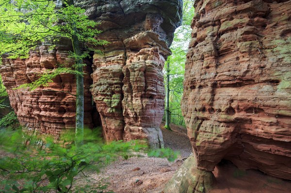 Old Castle Rock Natural Monument