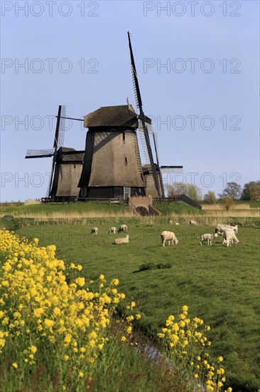 Stichting Museummolen
