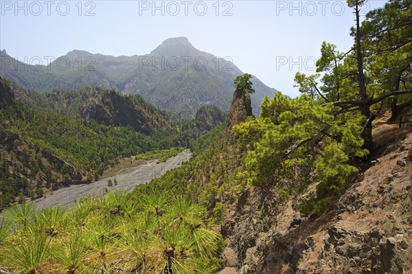 Parque Nacional de la Caldera de Taburiente