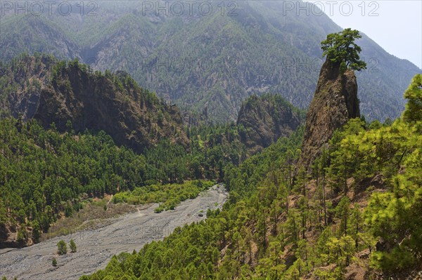 Parque Nacional de la Caldera de Taburiente