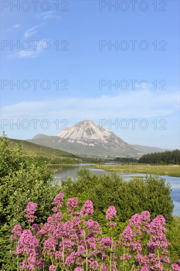 View of Mount Errigal from Gweedore