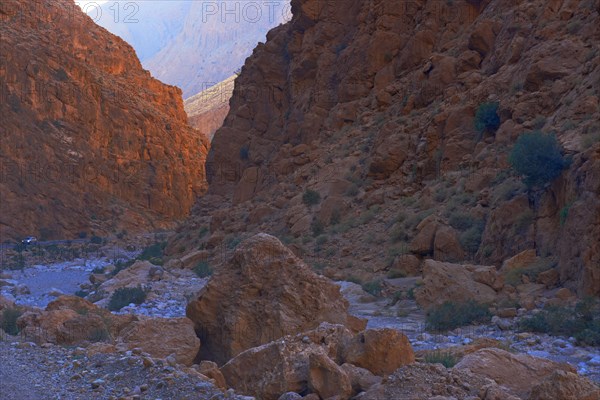 Todra Gorge