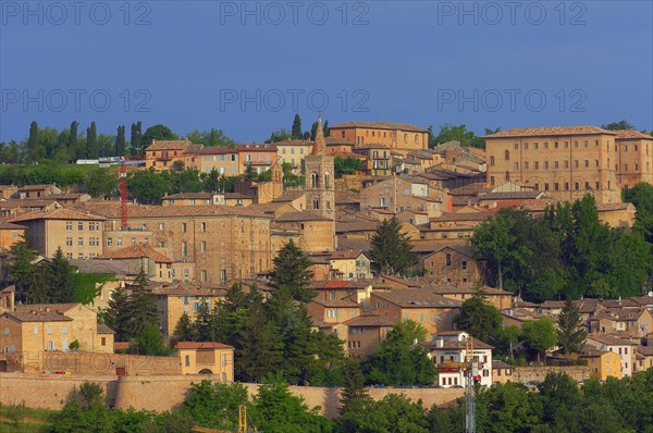 Urbino