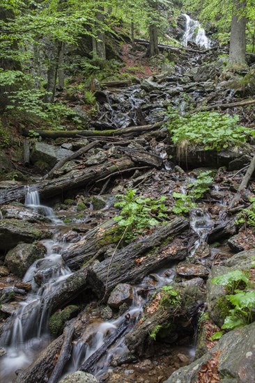 Mountain stream Hoellbach