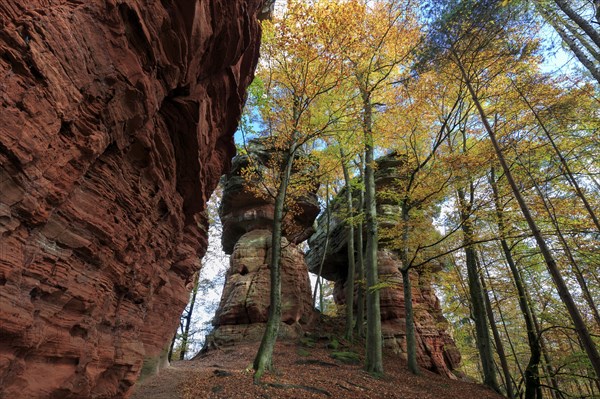 Natural Monument