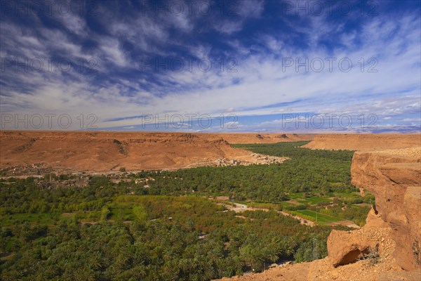 Tafilalet Oasis