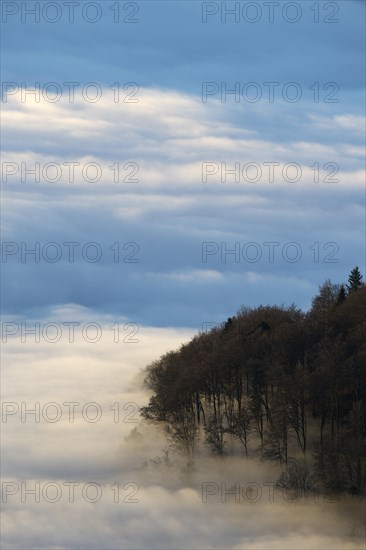 View from Hohneck
