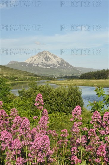 View of Mount Errigal from Gweedore