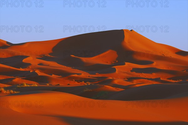 Merzouga