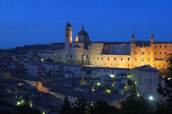 Urbino