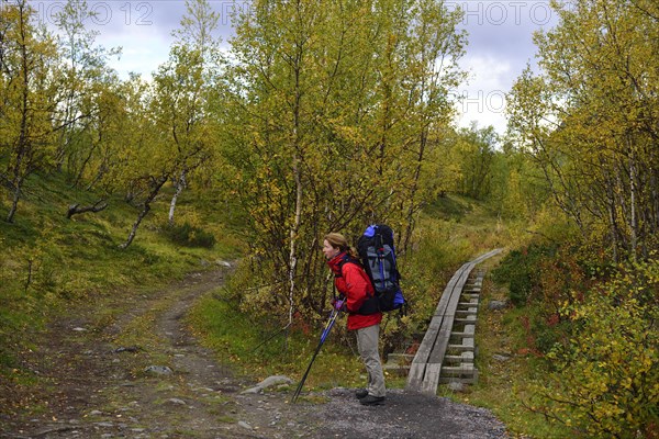 Trekking Nikkaluokta