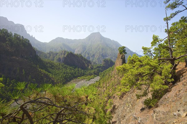 Parque Nacional de la Caldera de Taburiente