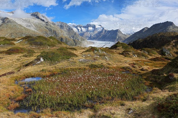 Aletsch glacier