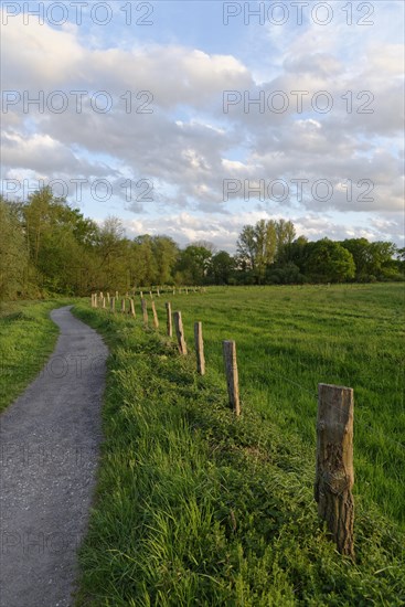 Path in the conservation area Schwalm-Nette