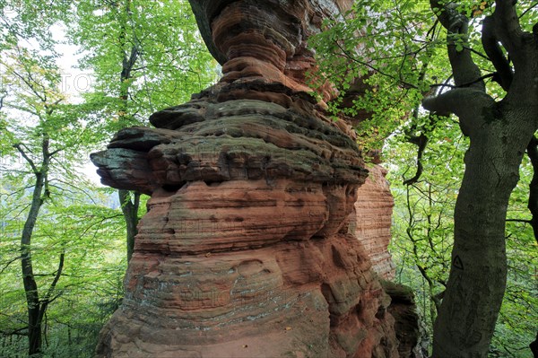 Old Castle Rock Natural Monument