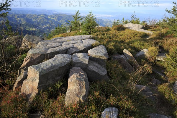 Black Forest National Park