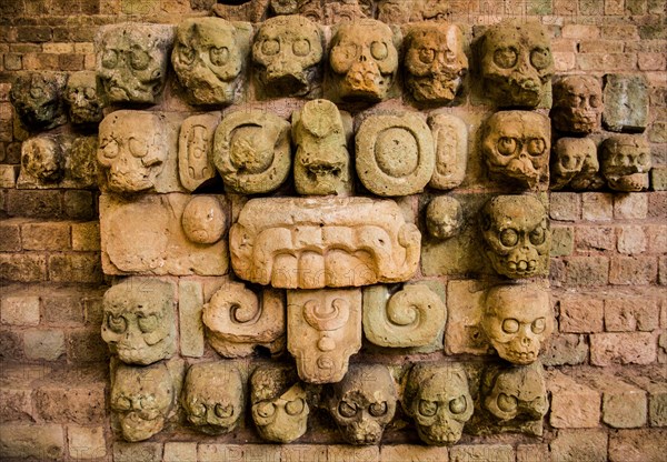 Skull and Tlaloc Sculpture from the Stairs of Temple 16S