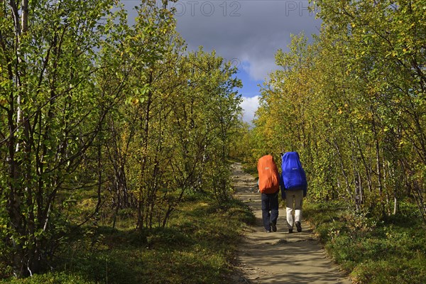 Trekking Nikkaluokta