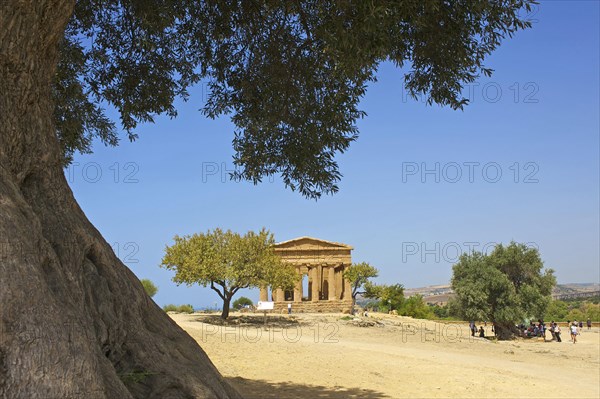 Tempio della Concordia