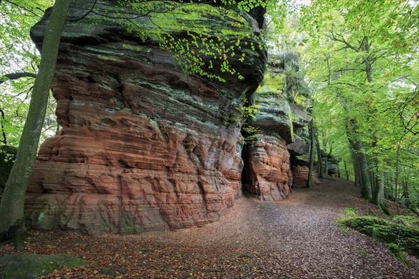 Old Castle Rock Natural Monument