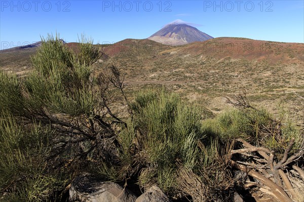 Tenerife