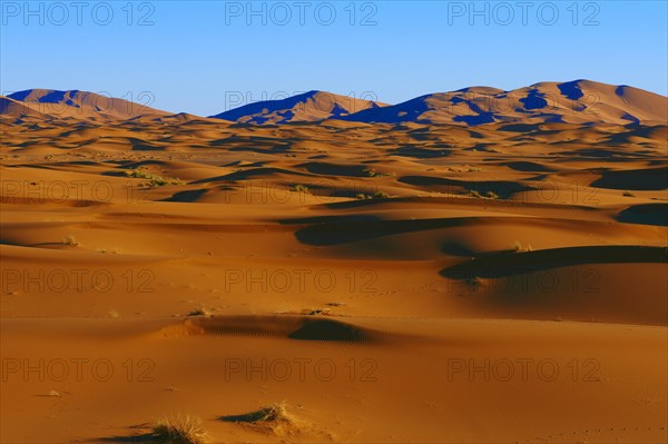 Merzouga