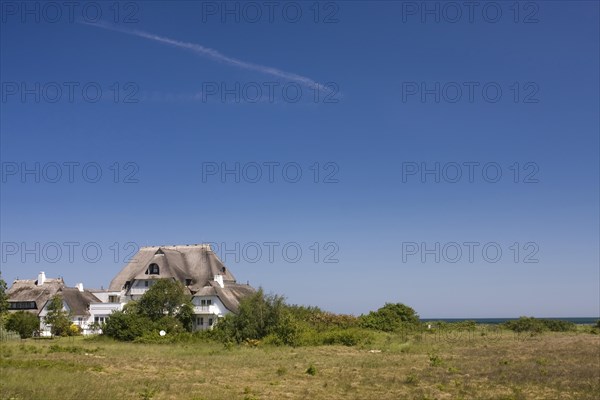 Thatch-roofed cottage