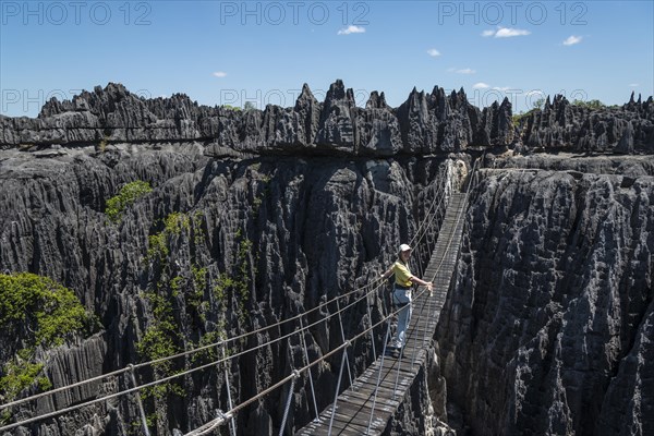 Suspension bridge over gorge