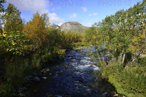 Trekking Nikkaluokta