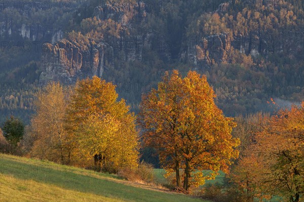 View from Mittelndorf over the Kirnitzschtal