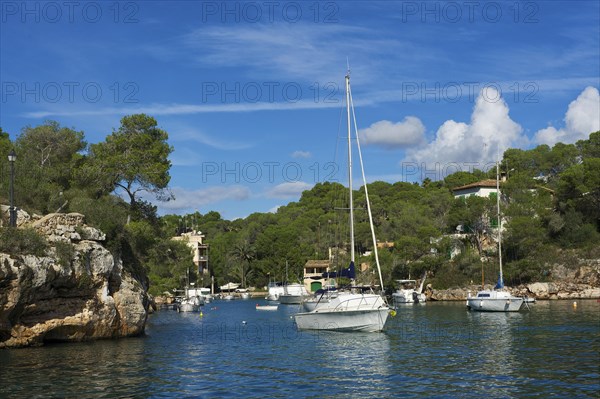 Fishing port in Cala Figuera