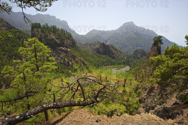 Parque Nacional de la Caldera de Taburiente