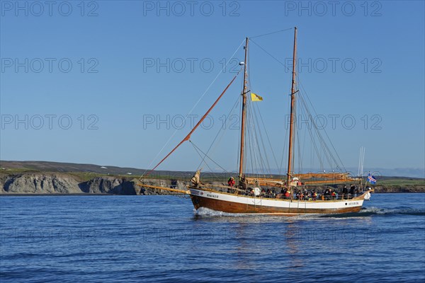 Old fishing boats are used for whale-watching