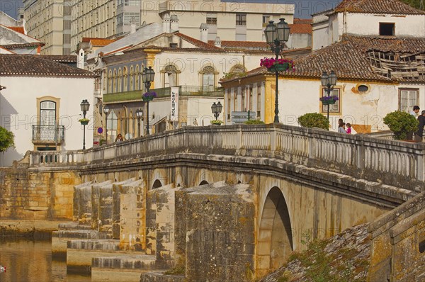 Velha Renaissance Bridge over the Nabao River