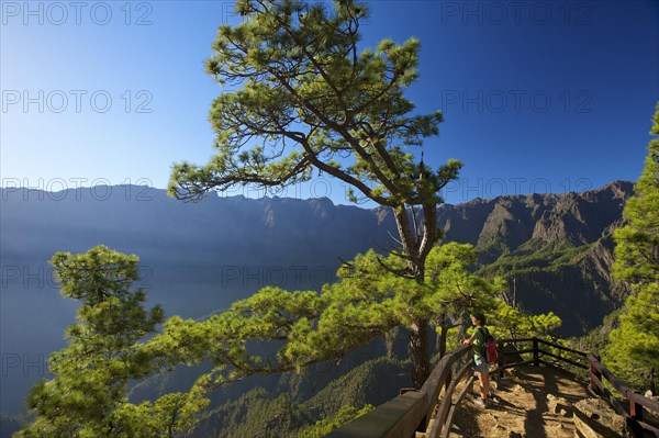 Parque Nacional de la Caldera de Taburiente at Mirador de Las Chozas