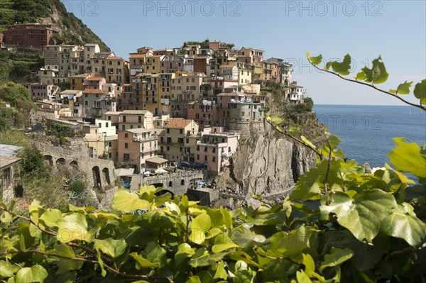 Manarola