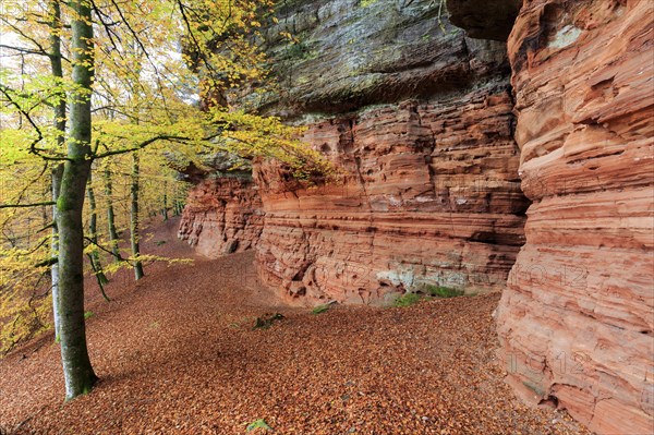 Natural Monument