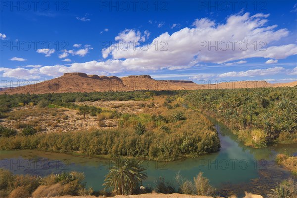 Tafilalet Oasis