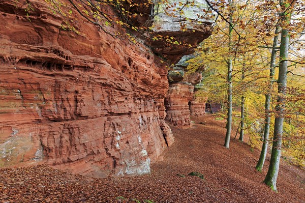 Natural Monument