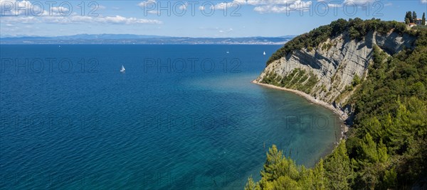 View of the cliffs of Strunjan and Moon Bay