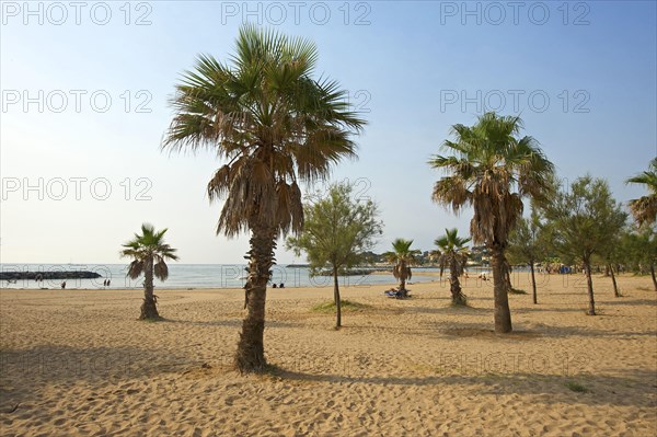 Beach at Frejus