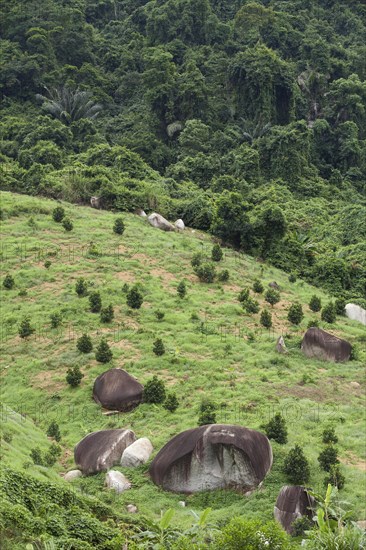 Fertile landscape with stone formations