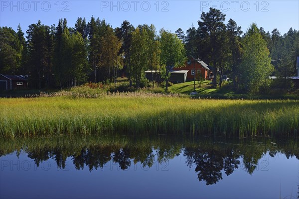 Near Renviken