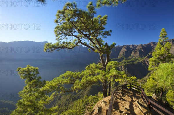 Parque Nacional de la Caldera de Taburiente at Mirador de Las Chozas