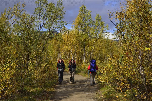 Trekking Nikkaluokta