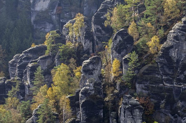 Pavilion view in the Bastei area