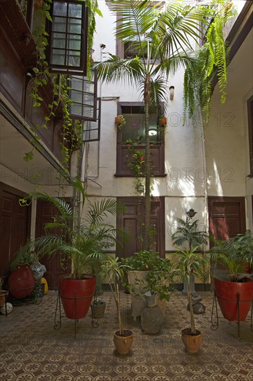 Patio of an old town house in Santa Cruz de La Palma