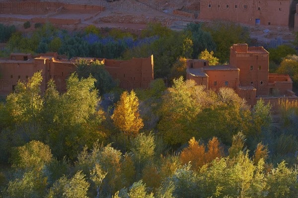 Dades Gorges